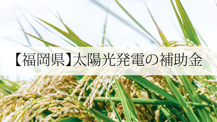 福岡県の太陽光発電・蓄電池補助金一覧【令和5年】