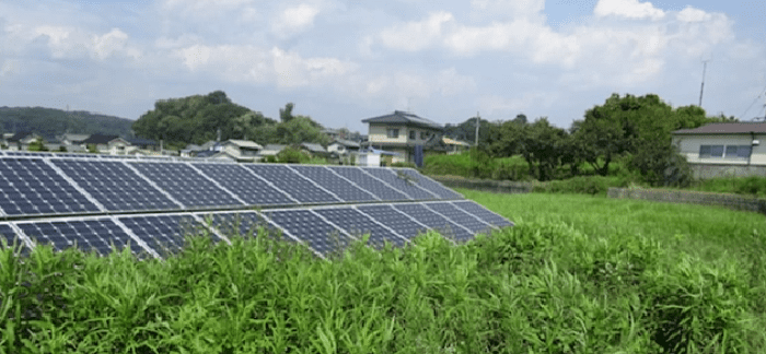 太陽光発電の雑草トラブル